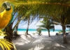 All Inclusive Dominican Republic from only £497.00pp - incl flights, hotel (4/5 Tripadvisor) & transfers
