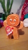 Gingerbread man biscuit barrel with gingerbread biscuits