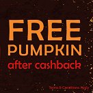 Free Pumpkin for halloween with topcashback snap &save (upto cashback)