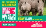 Knowsley Safari Park- half Price