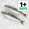 Tesco sardines fish counter a kilo a kilo