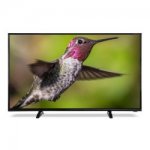 Cello C42250DVB4K 42 Inch 4K Ultra HD LED TV appilancedirect £269.99 with which trial