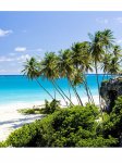 Thomas Cook airline economy flights manchester to Caribbean for winter sun Barbados, St Lucia, Antigua seem cheap return Barbados incl 20kg baggage through early dec15 then jan-mar16