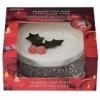 Iced Christmas cake