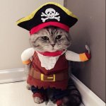 Cat / Dog Pirate Costume from £3.50 delivered @ Ali Express
