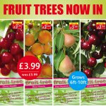 Fruit Trees