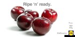 Punnet of plums