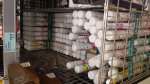 Batiste dry shampoo 200ml various