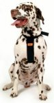 RAC Car Dog Harness Size Large