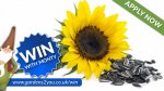 Free Sunflower Seeds (Closed Now 25th April)