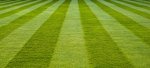 Turf a roll