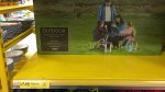 Folding Picnic table