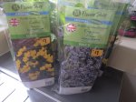 Perennial Plants (Large)