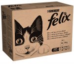 Felix Cat Food x80 pouches