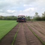 A roll roughly 1m2 turf grass, picked same day, Local deal, Ormskirk, Websters Turf