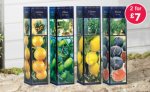 Fruit trees - lemon, orange, olive and fig
