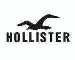 FREE DELIVERY on ALL orders + Sale @ Hollister Co