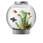 biOrb with Light 30 Litre Silver Coldwater Aquarium Kit £65.00 delivered @ Pets at home