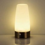 Motion Sensor Lamp Sold by ok star