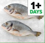 Tesco sea bream fish counter