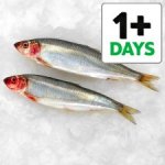 Tesco fish counter whole herring / KG