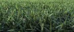 Artificial Grass (used) per square meter