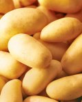Baby Maris Peer Potatoes