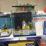 fishy tank 50% off £55.00 @ pets at home online & instore