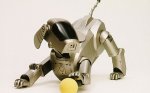 Free dog Micro-chipping