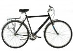 Raleigh varsity mens\womens hybrid single speed bike