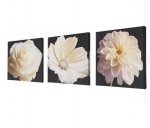 Argos Canvases - Set of 3