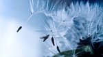 Unwind & Relaxing Music - Therapist - A Study in Departure & Many Other Relaxing Mixes