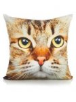 Cat Cushion C&C @ Asda George also Pink Bunny Cushion & other soft furnishings