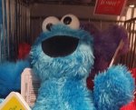 Small Plush Cookie Monster