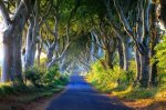 From Liverpool: 5 night Belfast to Derry Holiday visiting Game of Thrones locations, good rated accommodation, flights & car hire &pound;181.80pp