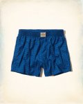 Hollister Seagull Print Boxers - Free Delivery £1.99