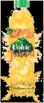 Free Volvic Juice Bottles (500ml)