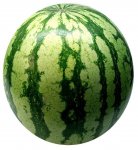 Large Water Melon