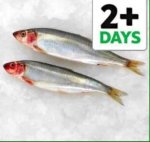 Tesco's fish counter whole herrings