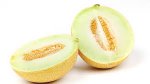 Galia Melon