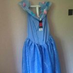 Adult Disney Cinderella Movie Fancy Dress Costume
