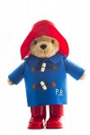 Adorable Paddington Bear