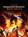Dragons Dogma: Dark Arisen. Steam Key