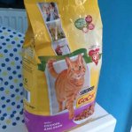 Big 2kg Bag of Go-Cat Dry Cat Food