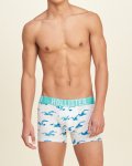 Hollister Briefs - many colours + 20% off code 35760 @ £3.19