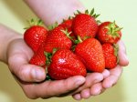 400g Strawberries Sonata