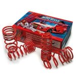 AutoStyle Lowering Springs Clearance Under