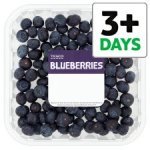 Blueberries - 50% free