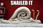 4.5 tog summer duvet for single for double + Others