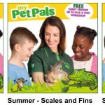 Free summer workshops for kids @ Pets at home